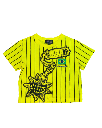 SCARY SUNNY BRAZIL CROP TOP