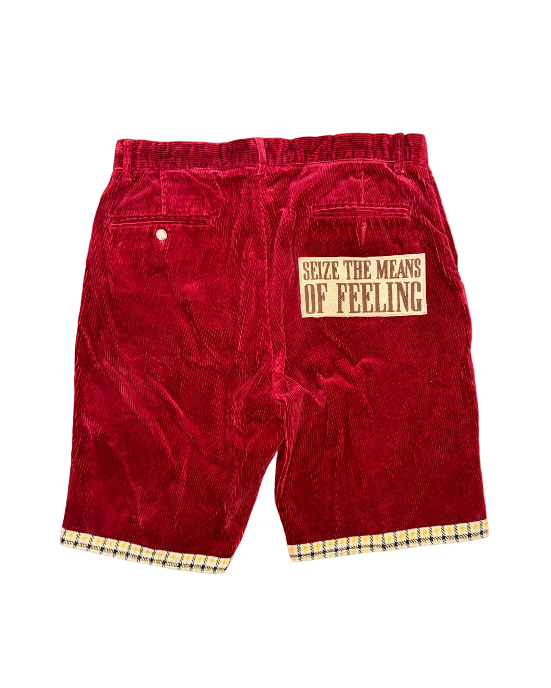 SEIZE THE MEANS OF FEELING CORD SHORTS