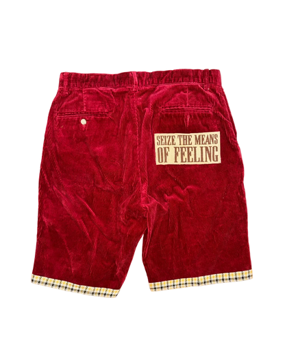 SEIZE THE MEANS OF FEELING CORD SHORTS